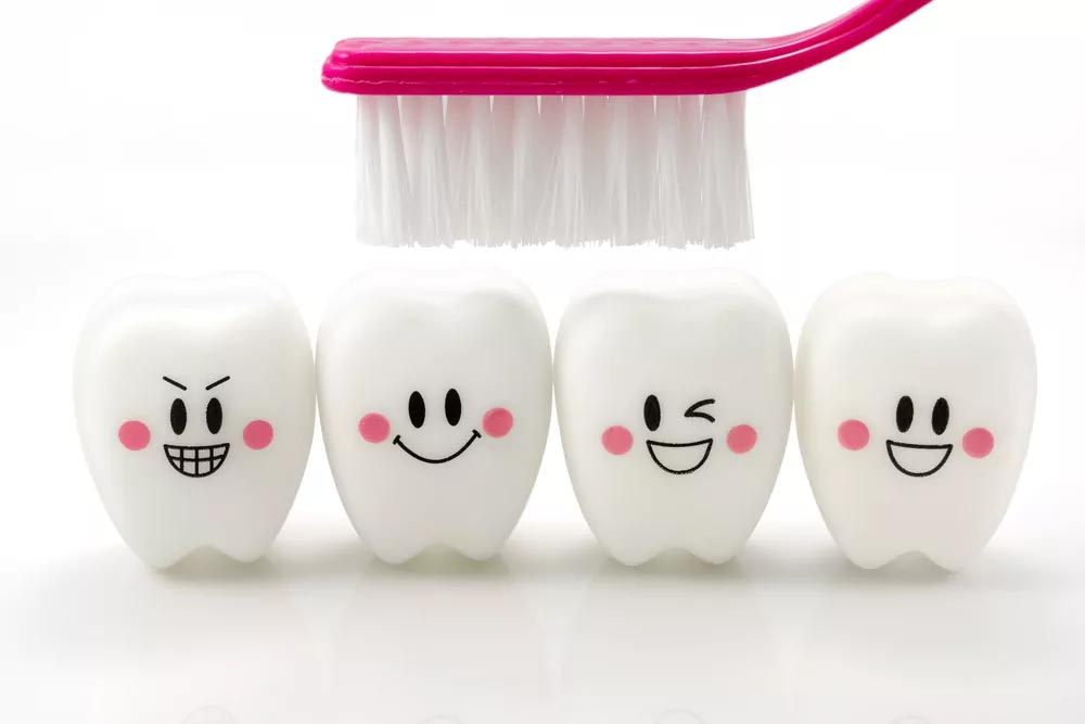 Brush and dummy teeth