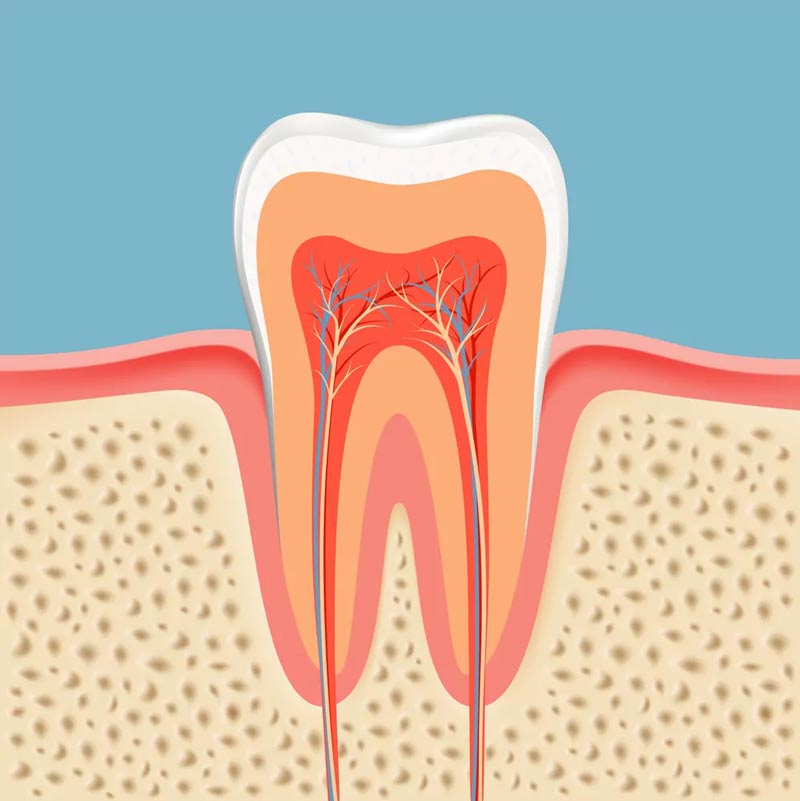 Teeth image